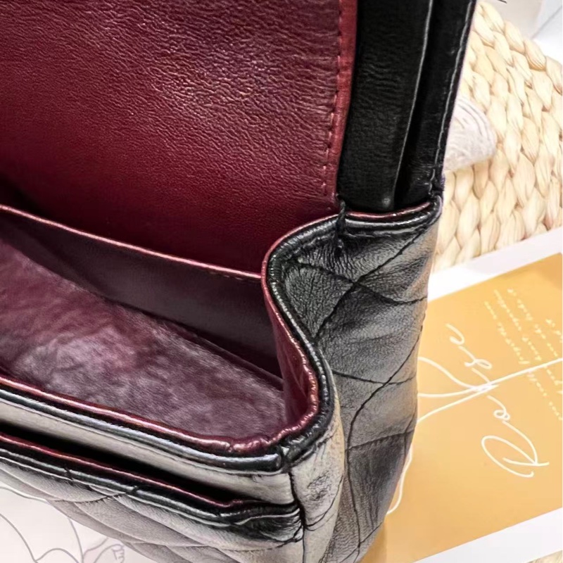 Chanel Classic Flap 25 Lambskin Bag-18