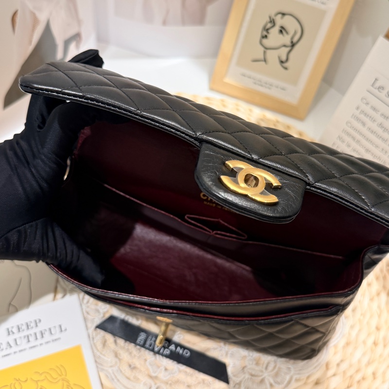 Chanel Classic Flap 25 Lambskin Bag-19