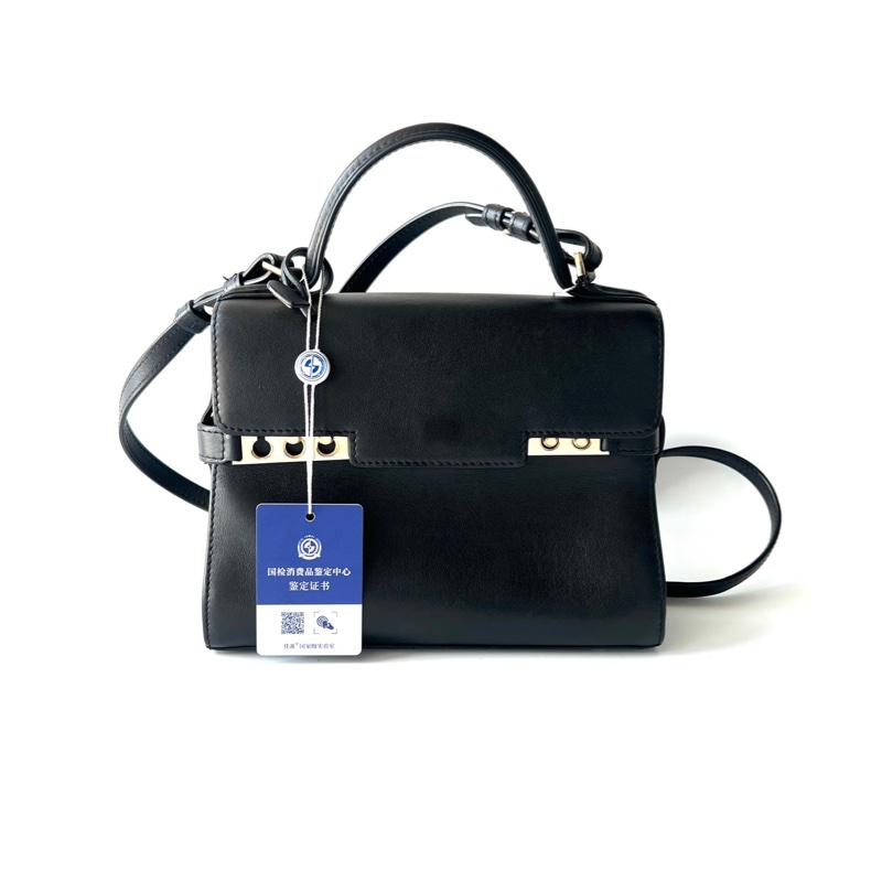 Delvaux德爾沃Tempete PM 手提單肩斜挎包-3