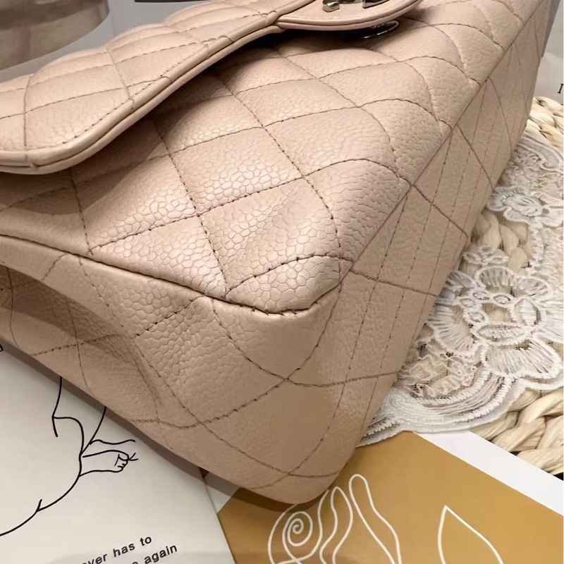 Chanel Classic Flap 25 Bag-10