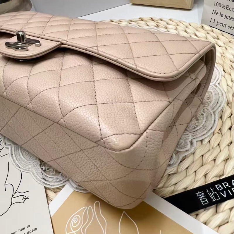 Chanel Classic Flap 25 Bag-11