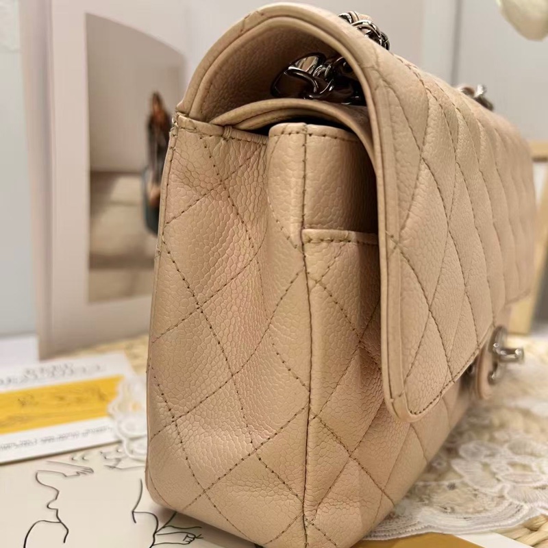 Chanel Classic Flap 25 Bag-12