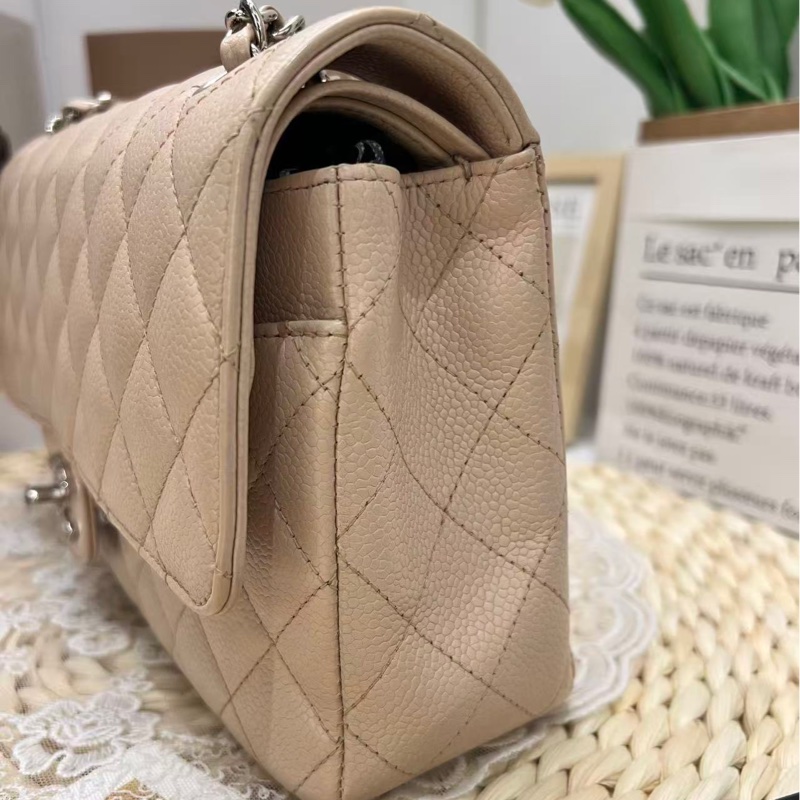 Chanel Classic Flap 25 Bag-13