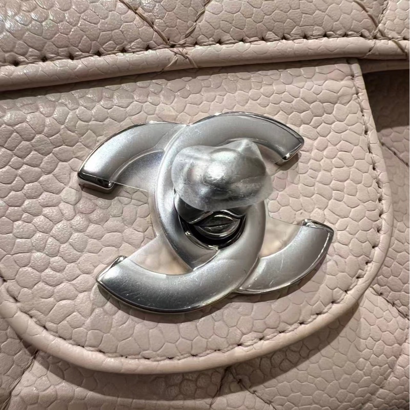 Chanel Classic Flap 25 Bag-19