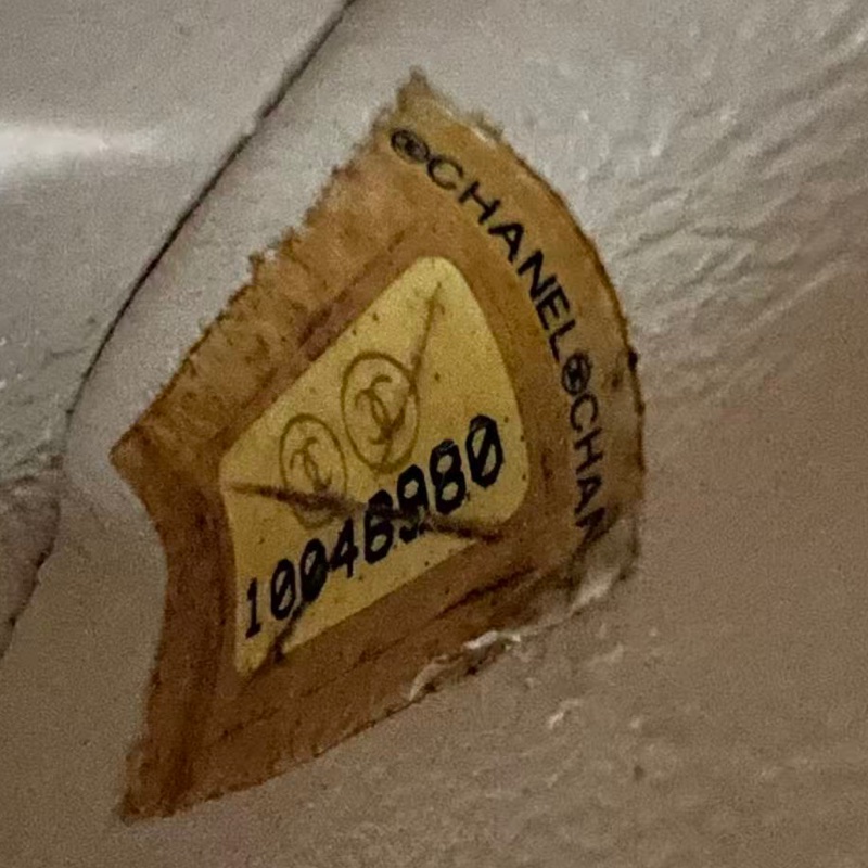 Chanel Classic Flap 25 Bag-23