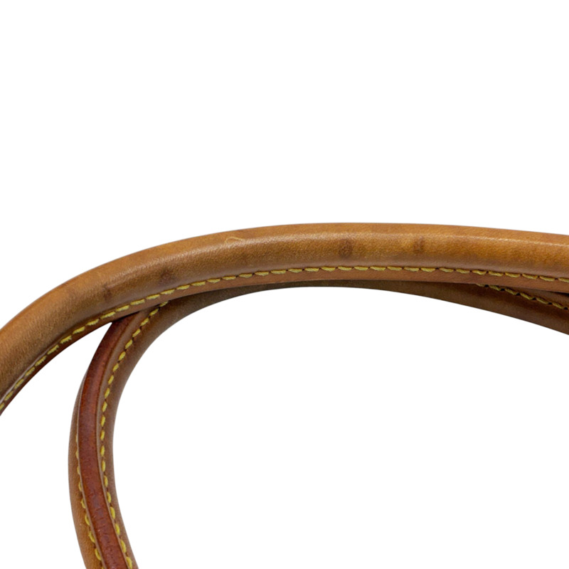 棕色 原花帆布 Raspail PM 肩背包【LOUIS VUITTON LV 路易威登】 M40608-9