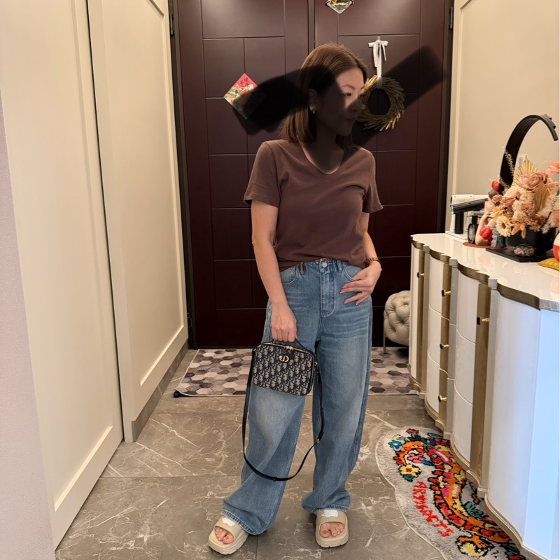 Dior老花蒙田相機包-6