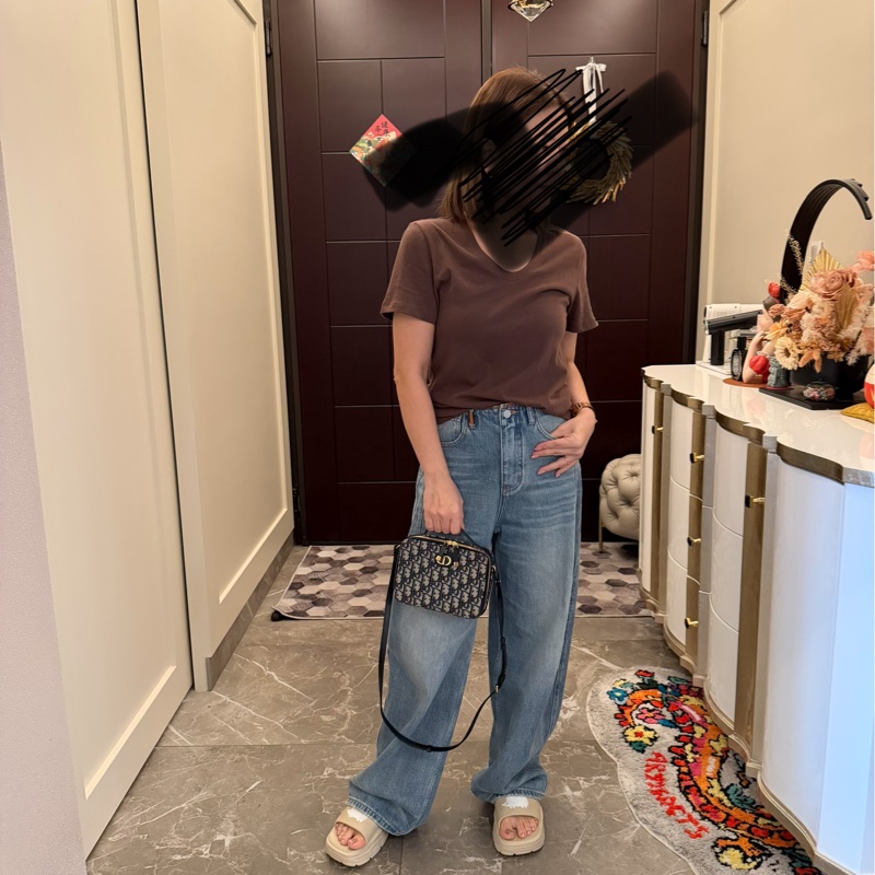 Dior老花蒙田相機包-7