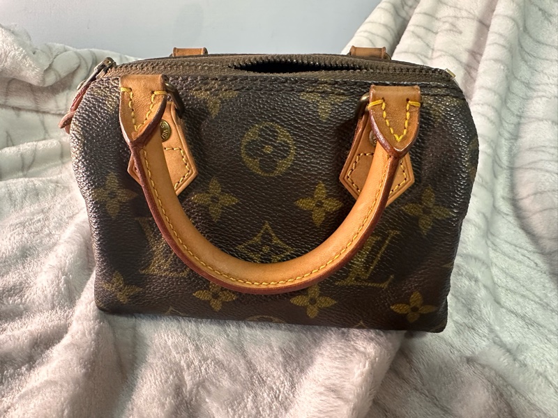 LV原花 Speedy Mini 手提包 古董收藏包-0