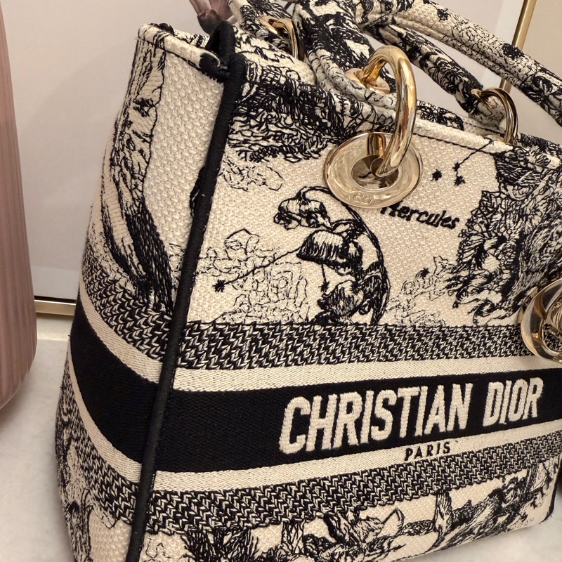 Christian Dior Lady D-Lite 刺繡中號-3