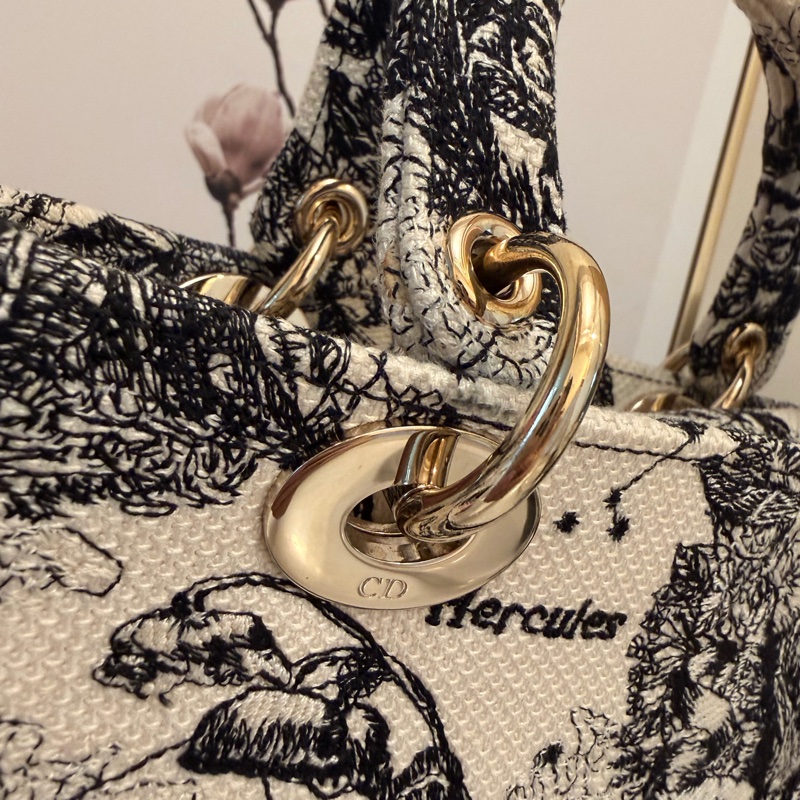 Christian Dior Lady D-Lite 刺繡中號-14