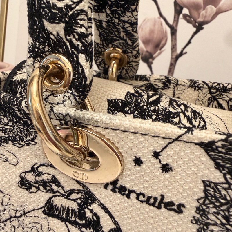 Christian Dior Lady D-Lite 刺繡中號-16