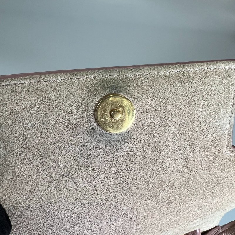 CELINE 粉色鯰魚包NANO-6