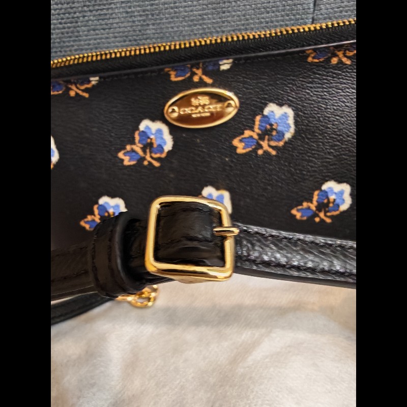 Coach Quinn Bramble Rose Crossbody-12