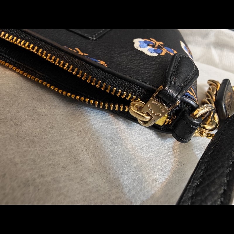 Coach Quinn Bramble Rose Crossbody-13