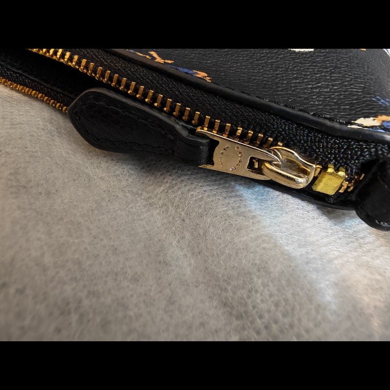 Coach Quinn Bramble Rose Crossbody-14