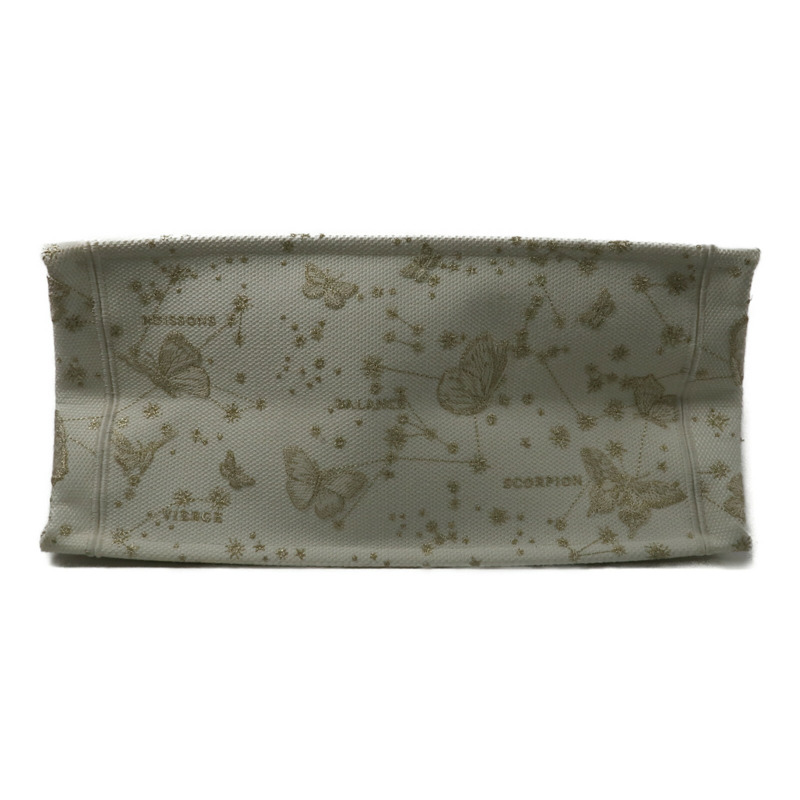 Dior 帆布Book Tote Medium手挽袋-3