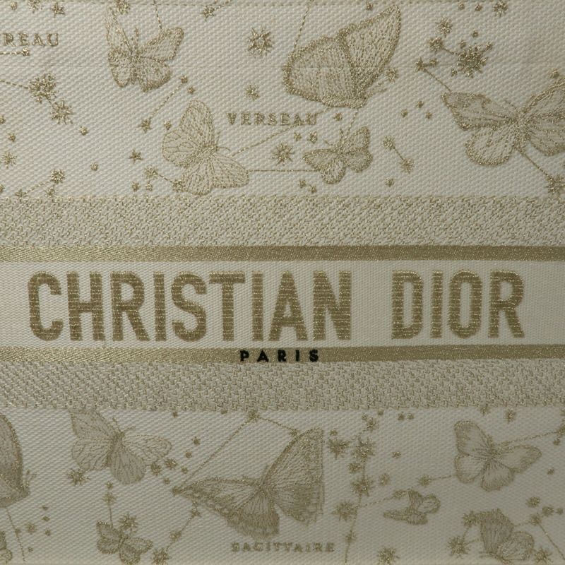 Dior 帆布Book Tote Medium手挽袋-5