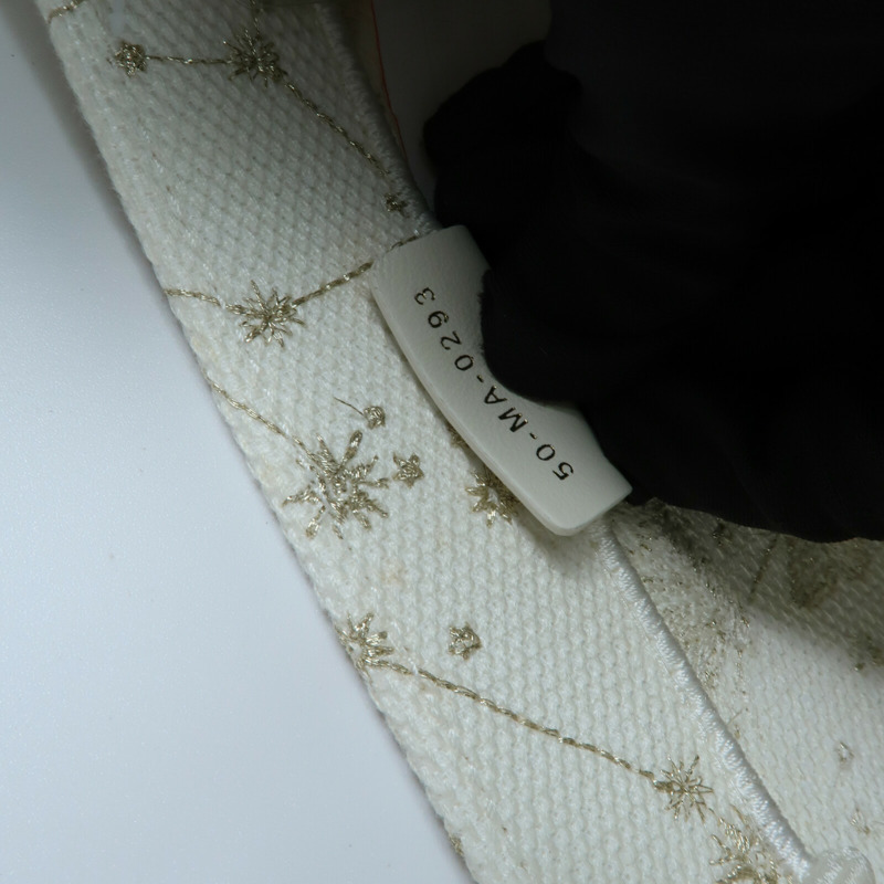 Dior 帆布Book Tote Medium手挽袋-6