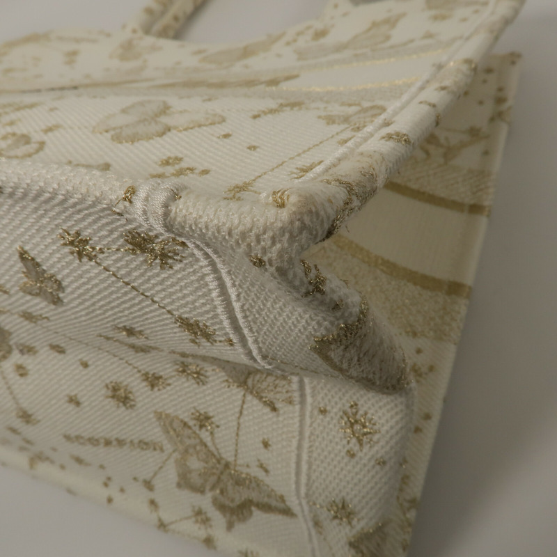 Dior 帆布Book Tote Medium手挽袋-11