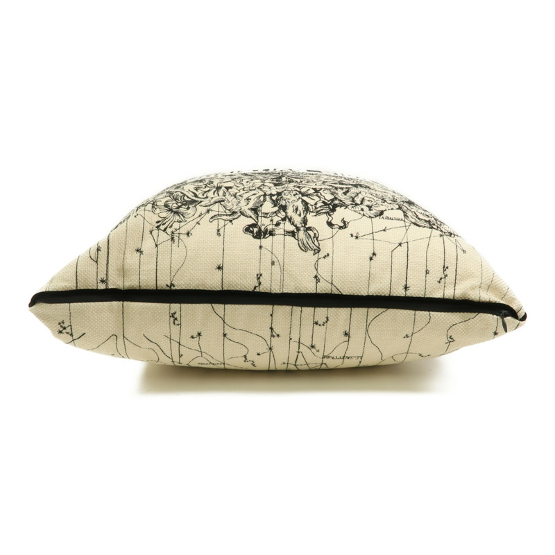 Dior 帆布Pillow靠枕-3