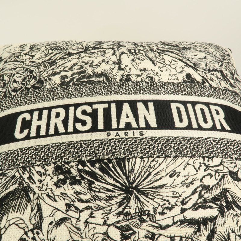 Dior 帆布Pillow靠枕-4