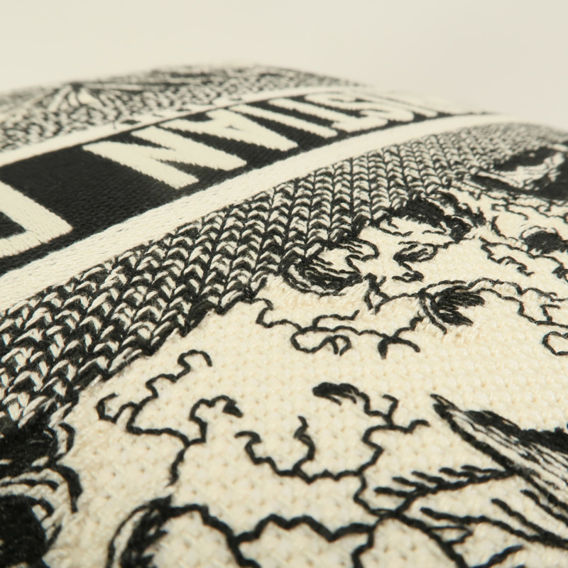 Dior 帆布Pillow靠枕-11