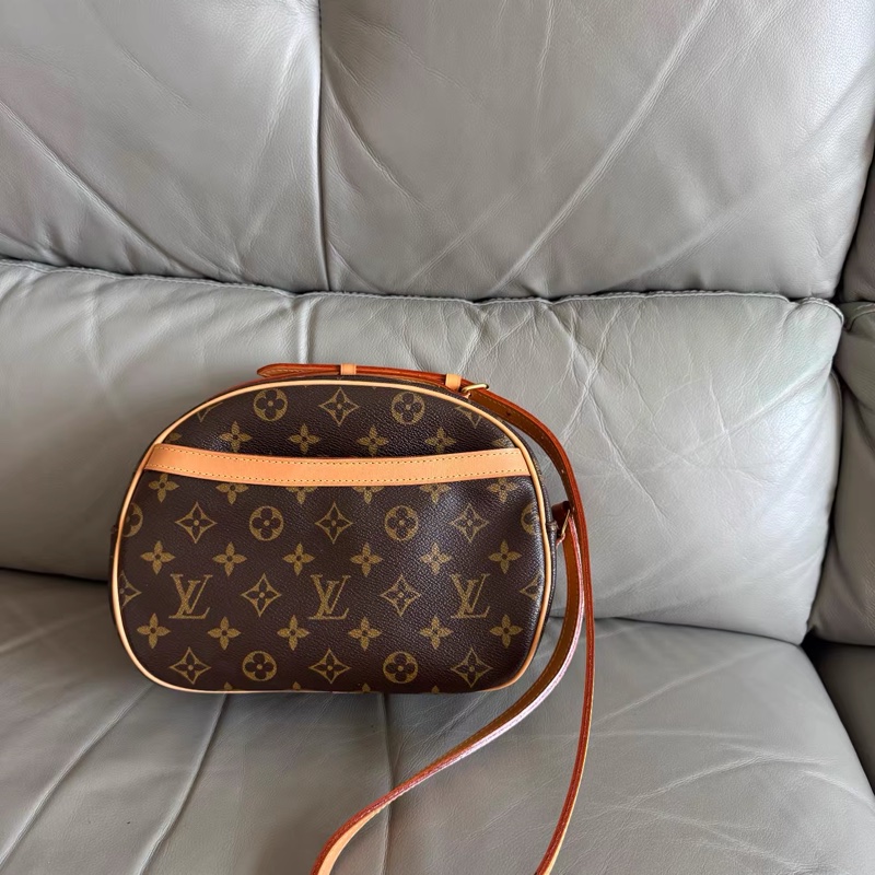 Louis Vuitton • 經典老花蘋果包-6