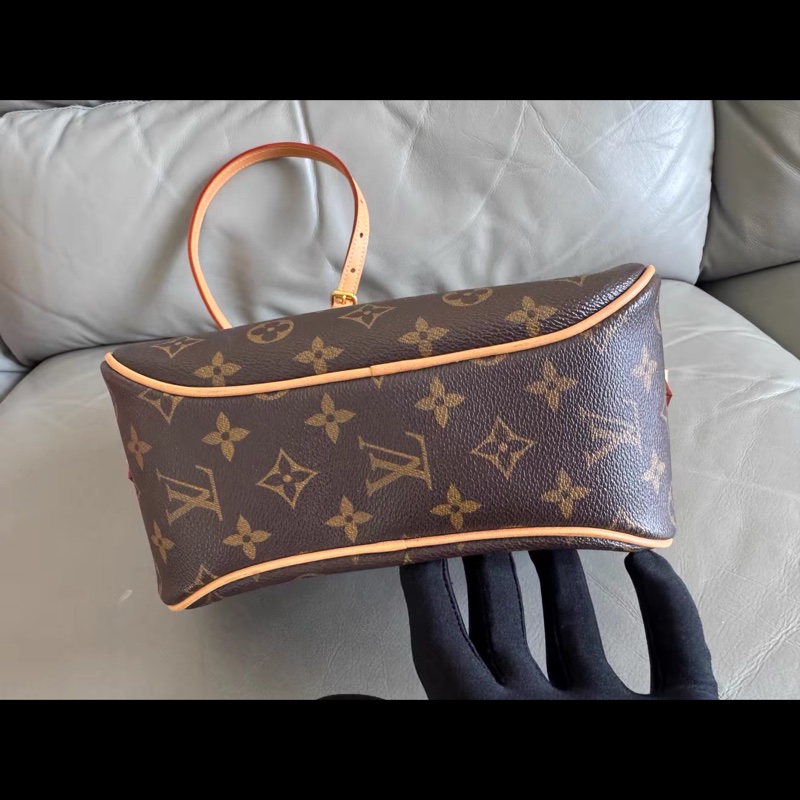 Louis Vuitton • 經典老花蘋果包-12