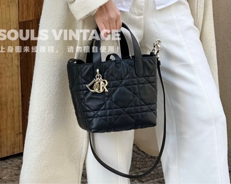 DIOR黑色Toujours小號直式手提側背包（全新商品！）-2