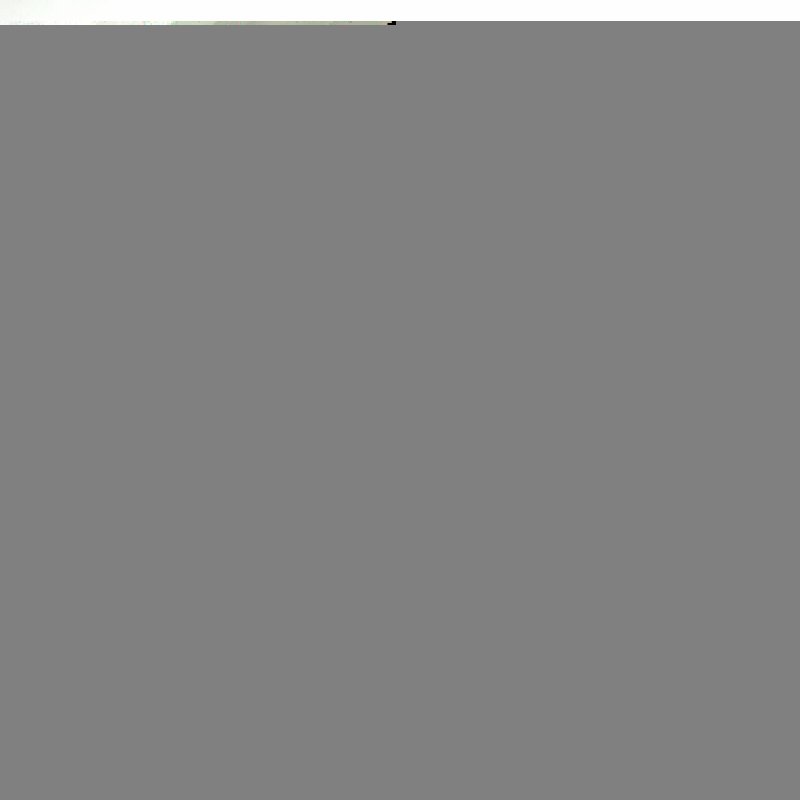 GUCCI Padlock鎖頭包Tote中號35黑色牛皮/PVC金扣肩背包-3