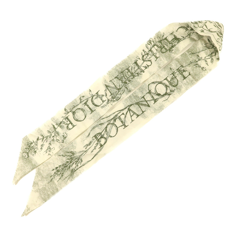 Dior 絲質Scarf絲巾-2