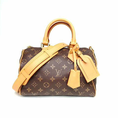 LOUIS VUITTON Sp25菲董聯名限定老花牛皮晶片肩背包