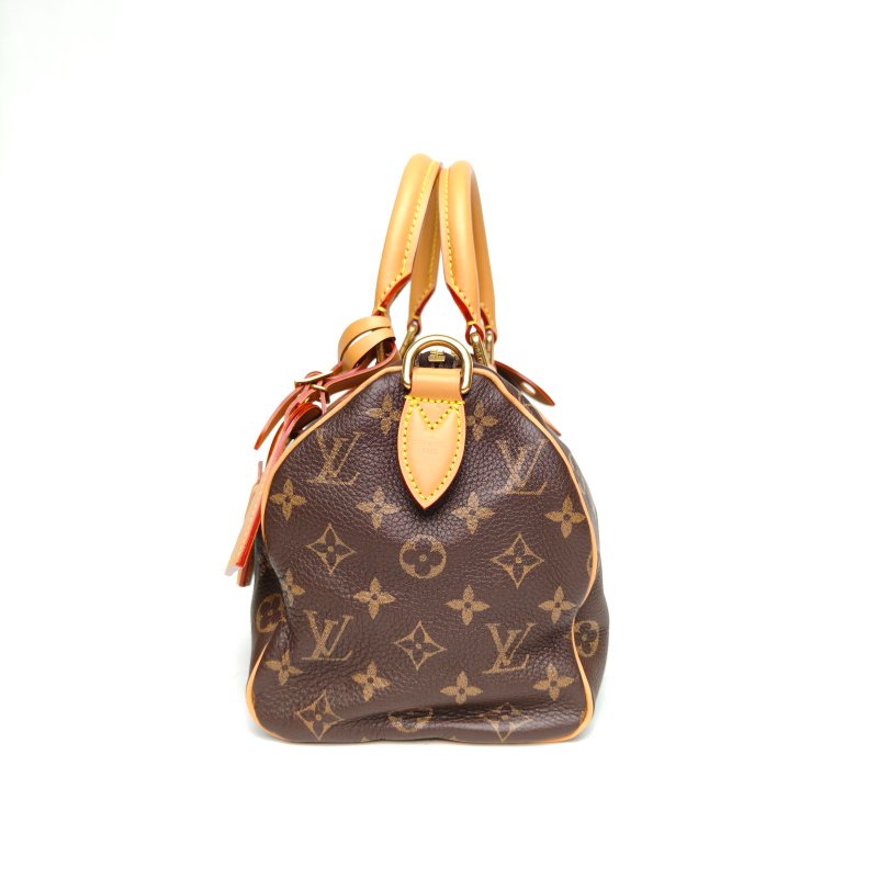 LOUIS VUITTON Sp25菲董聯名限定老花牛皮晶片肩背包-1