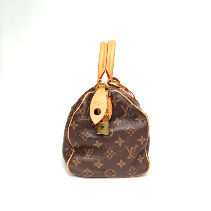 LOUIS VUITTON Sp25菲董聯名限定老花牛皮晶片肩背包-3