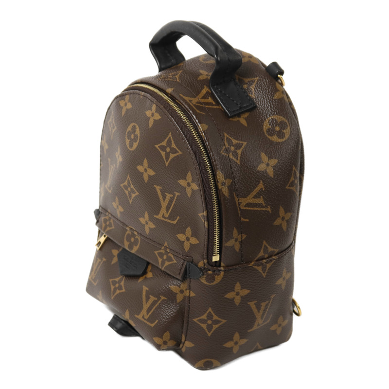 LOUIS VUITTON Monogram Palm Springs Mini背包-2