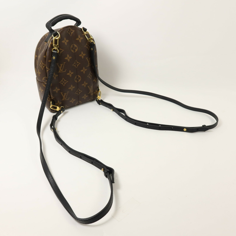 LOUIS VUITTON Monogram Palm Springs Mini背包-7