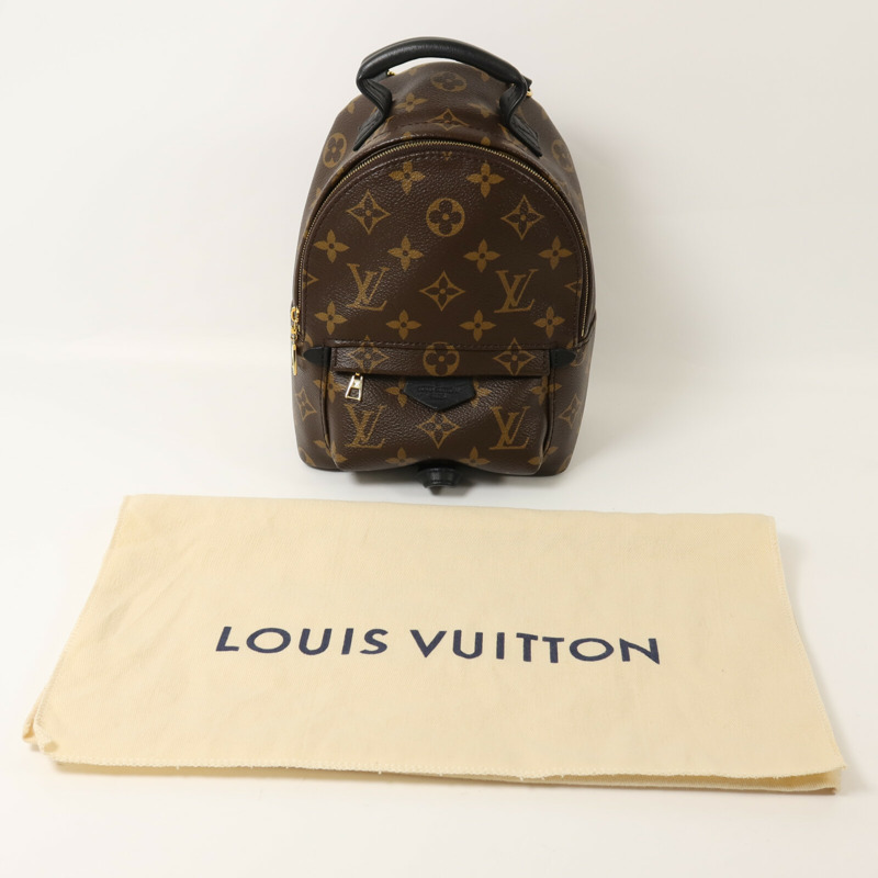 LOUIS VUITTON Monogram Palm Springs Mini背包-8