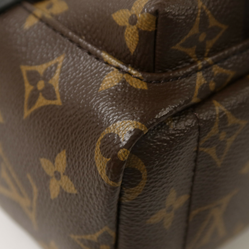 LOUIS VUITTON Monogram Palm Springs Mini背包-10