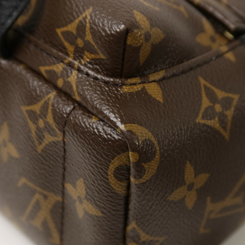 LOUIS VUITTON Monogram Palm Springs Mini背包-11