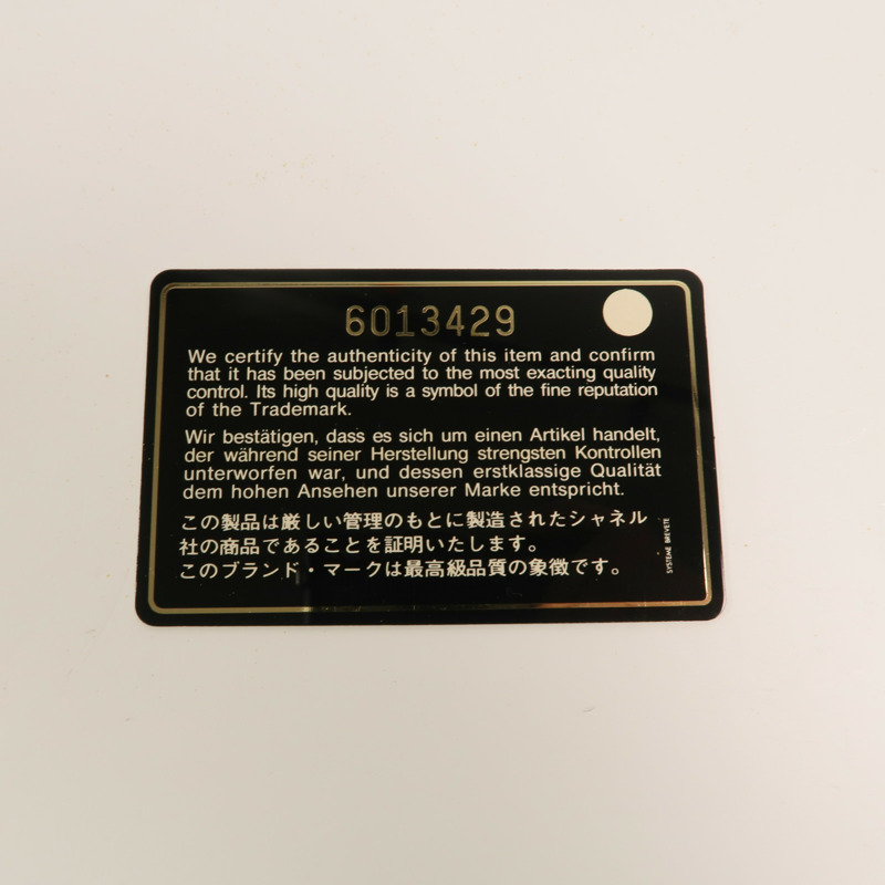 CHANEL Raffia Hand Bag手挽袋-9