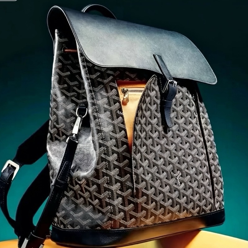 Goyard戈雅Alpin黑色雙肩包⛱️貝克漢同款男女通背款-0