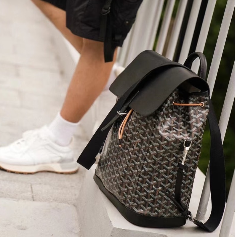 Goyard戈雅Alpin黑色雙肩包⛱️貝克漢同款男女通背款-2