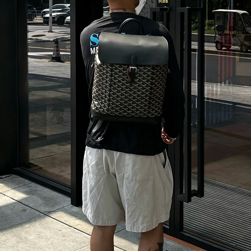 Goyard戈雅Alpin黑色雙肩包⛱️貝克漢同款男女通背款-3