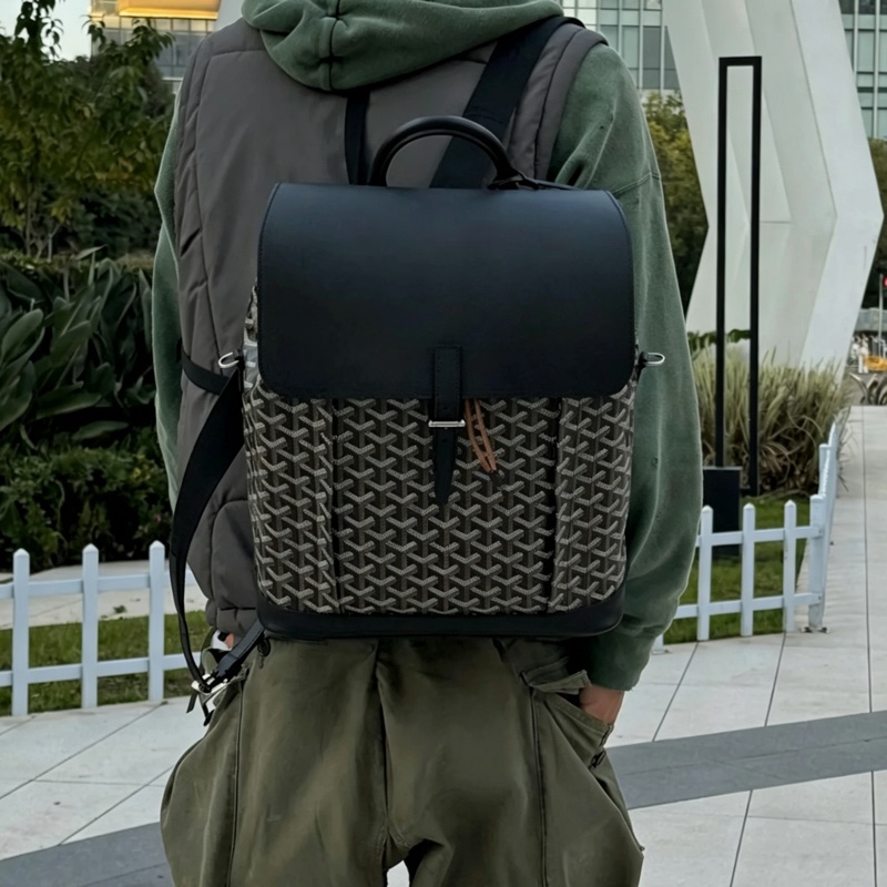 Goyard戈雅Alpin黑色雙肩包⛱️貝克漢同款男女通背款-4