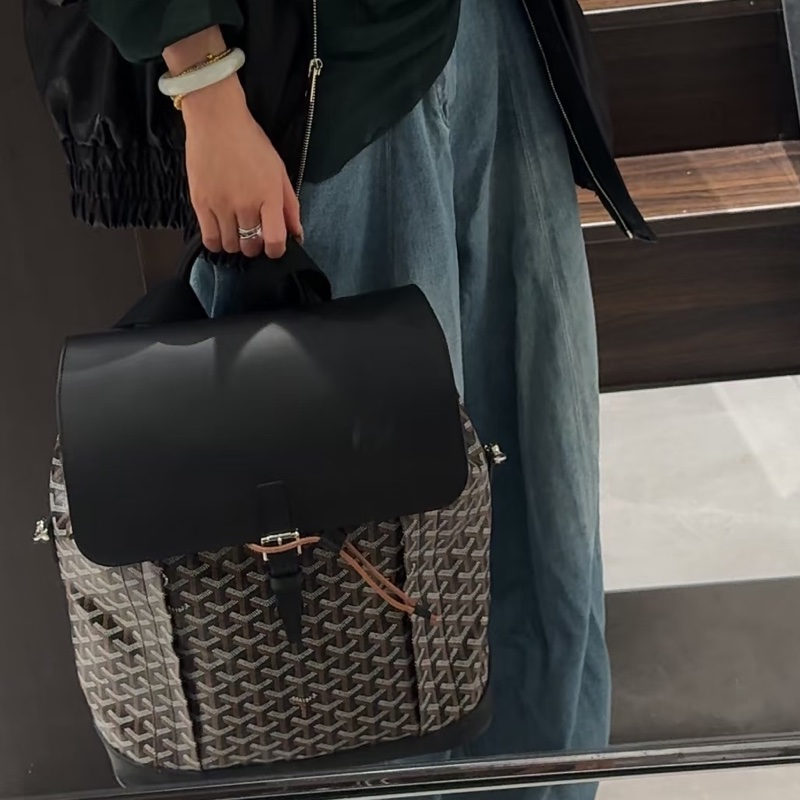 Goyard戈雅Alpin黑色雙肩包⛱️貝克漢同款男女通背款-5