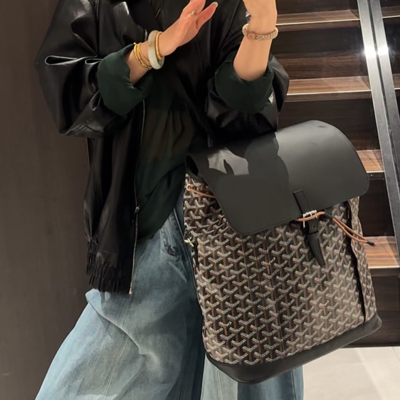 Goyard戈雅Alpin黑色雙肩包⛱️貝克漢同款男女通背款-6