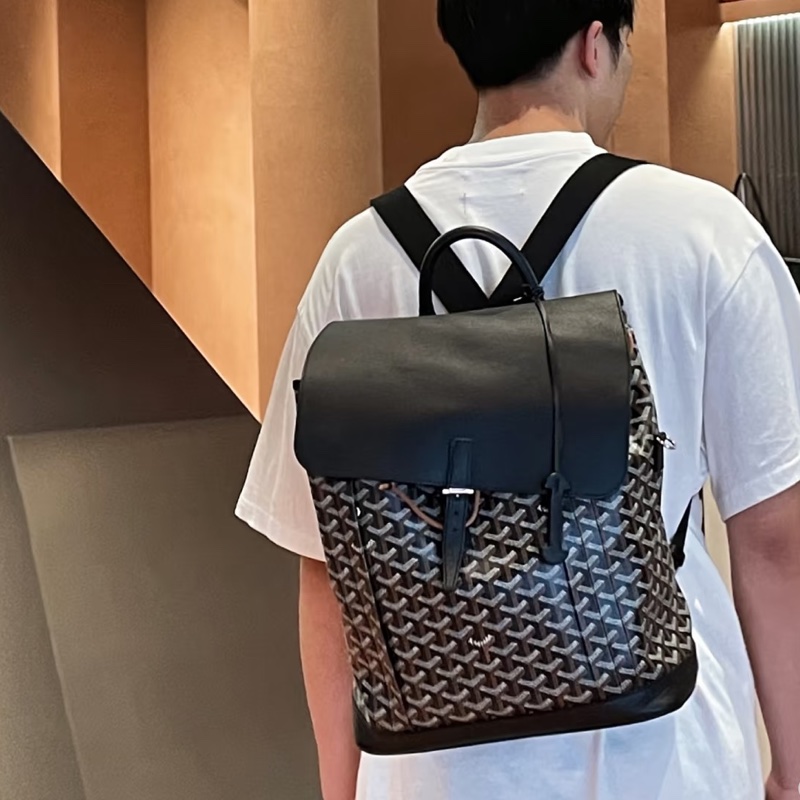 Goyard戈雅Alpin黑色雙肩包⛱️貝克漢同款男女通背款-8