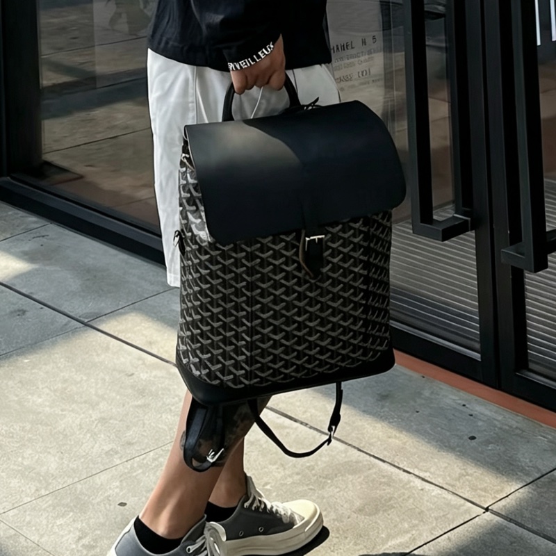 Goyard戈雅Alpin黑色雙肩包⛱️貝克漢同款男女通背款-9