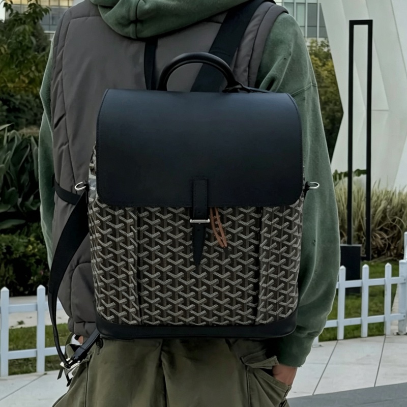 Goyard戈雅Alpin黑色雙肩包⛱️貝克漢同款男女通背款-30
